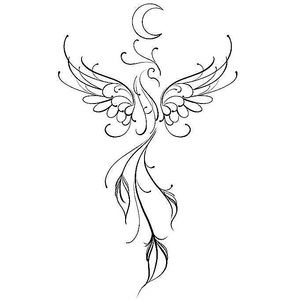 Meet your Posher, Novella